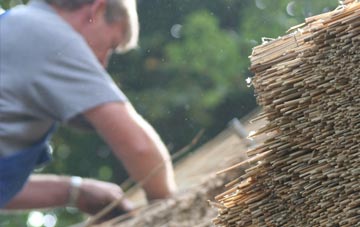 professional Walberton thatchers